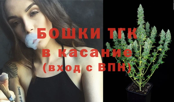 стафф Аркадак